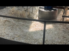 Bubuk Gelatin Berkualitas Farmasi Dari Sumber Sapi Dengan Kekuatan Gel Bunga 160-280