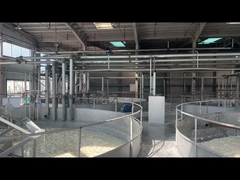 Bubuk gelatin kelas farmasi untuk produksi kapsul lunak